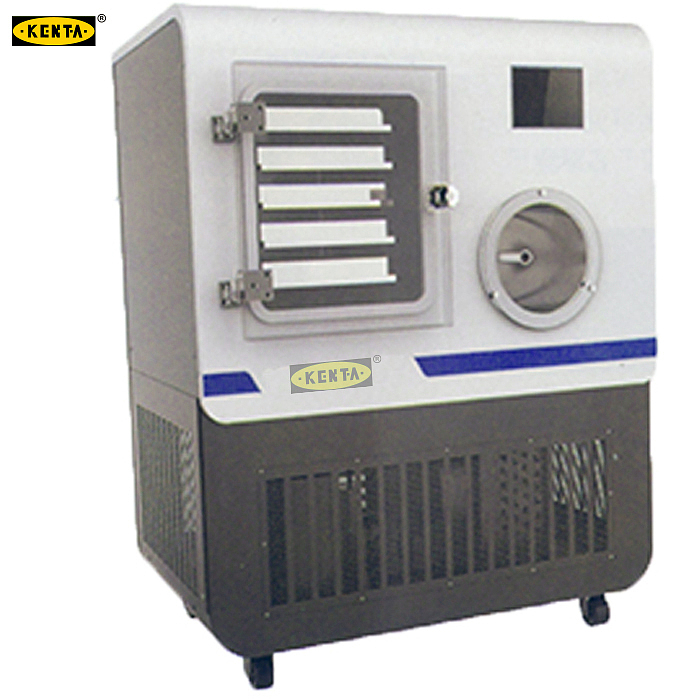 KENTA 触摸屏显示硅油原位冻干机(风冷) KT95-115-302