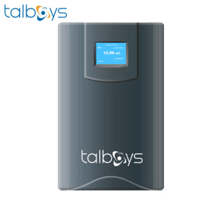 TALBOYS 六通道数显中文在线硅酸根分析仪