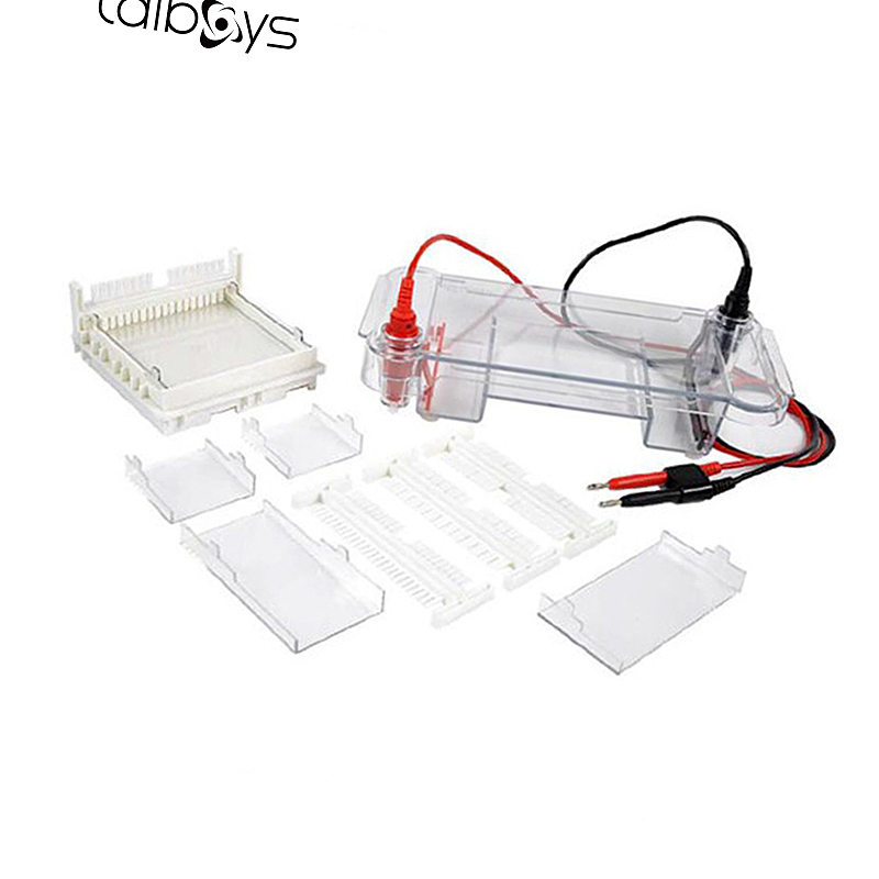 TALBOYS 蛋白垂直电泳仪 TS212140