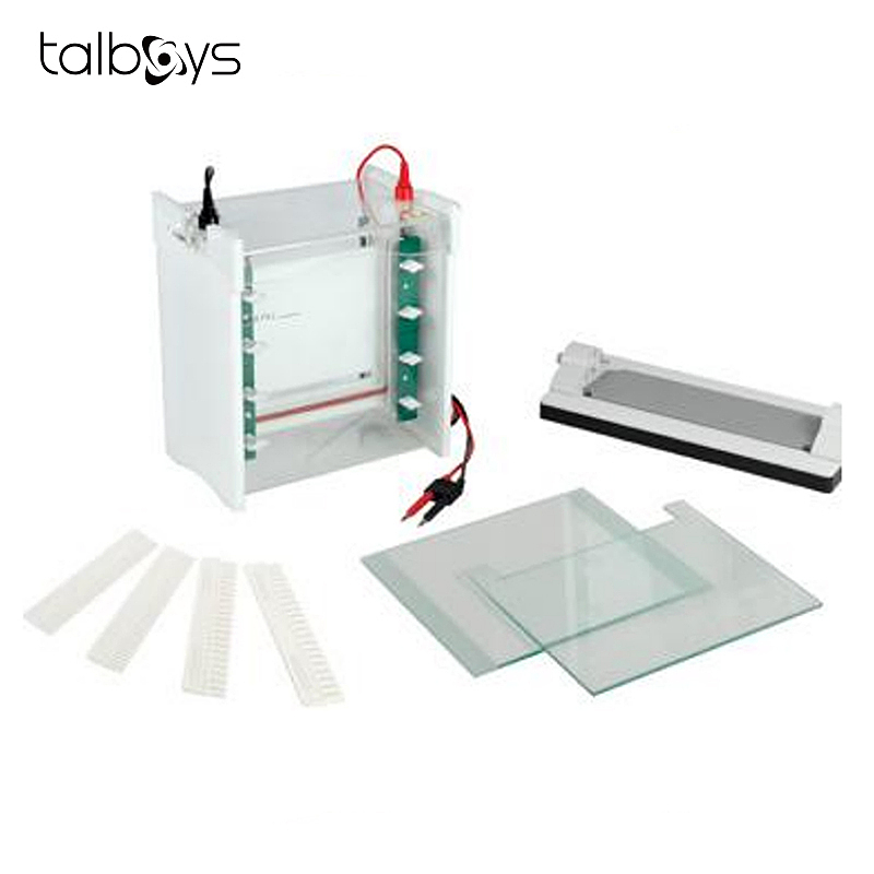 TALBOYS 蛋白垂直电泳仪 TS212141