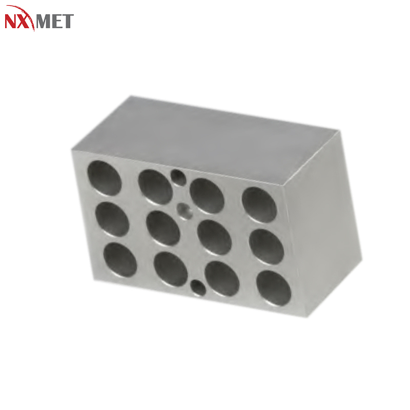 NXMET 数显干式恒温器 金属浴 双区控温 可选模块 NT63-401-12