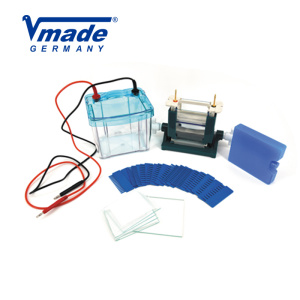 VMADE V型双垂直电泳仪