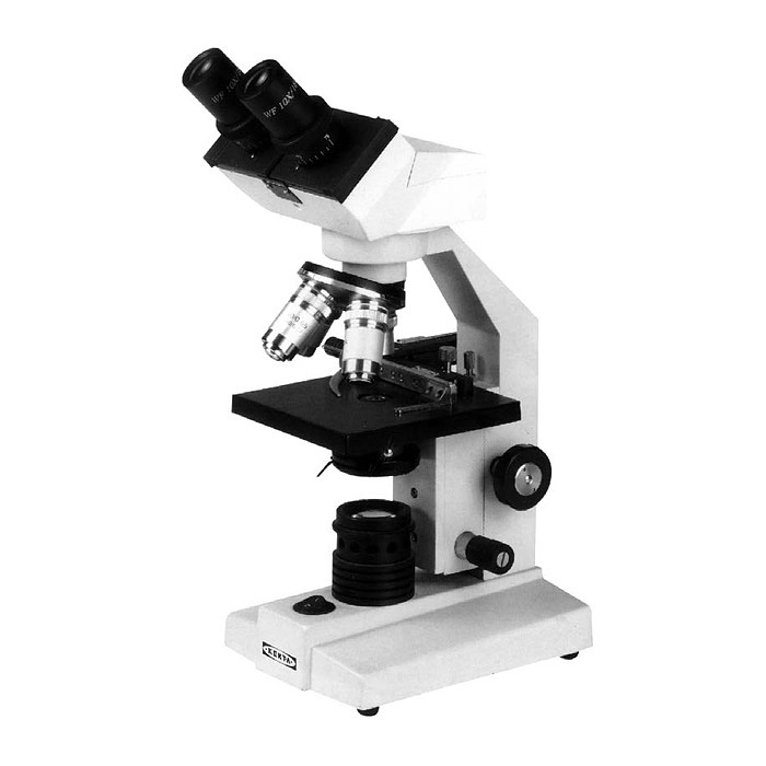 KENTA 生物显微镜 KT5-440-302