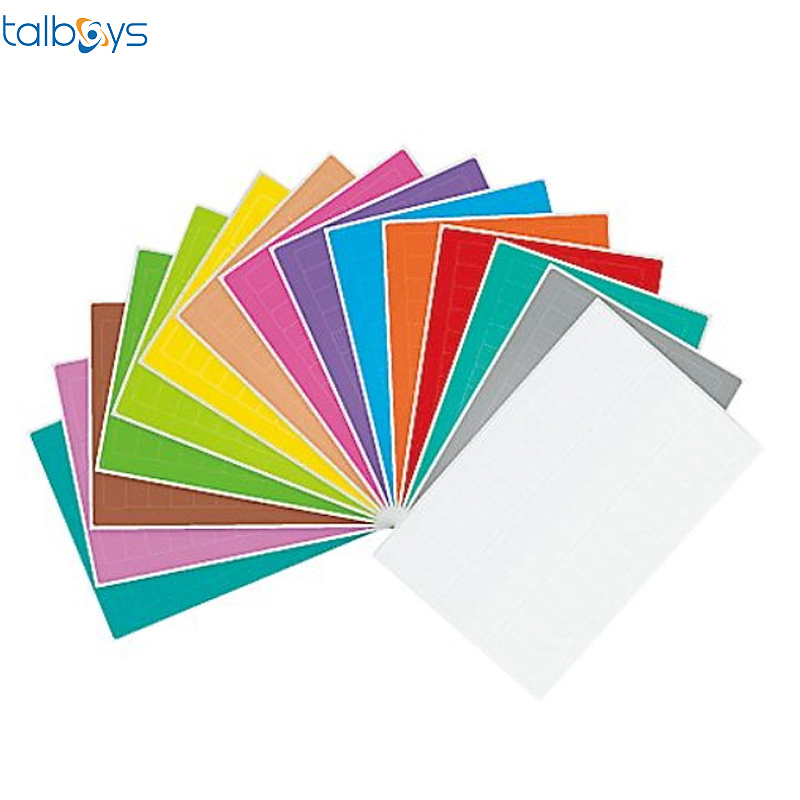 TALBOYS 彩色低温标签 15种颜色 TS290787