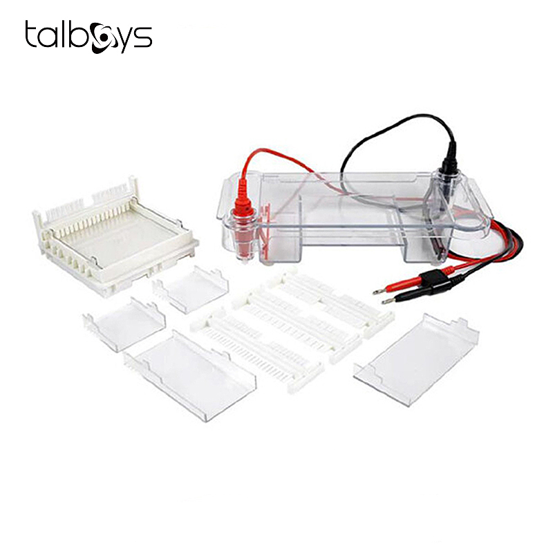 TALBOYS 蛋白垂直电泳仪 TS212139