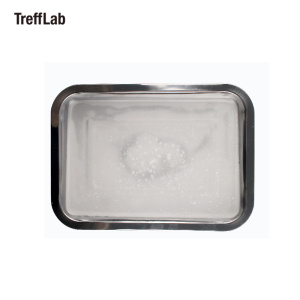 TREFFLAB 不锈钢生物解剖盘 蜡盘