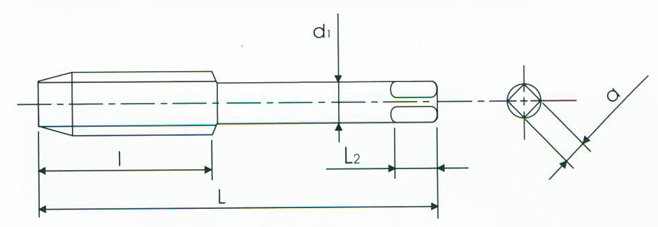 FORANT 高速钢直管螺纹丝锥G7/8" 88211764