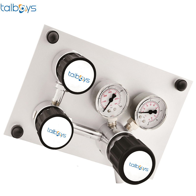 TALBOYS 双测式自动切换压力控制面板 TS290489