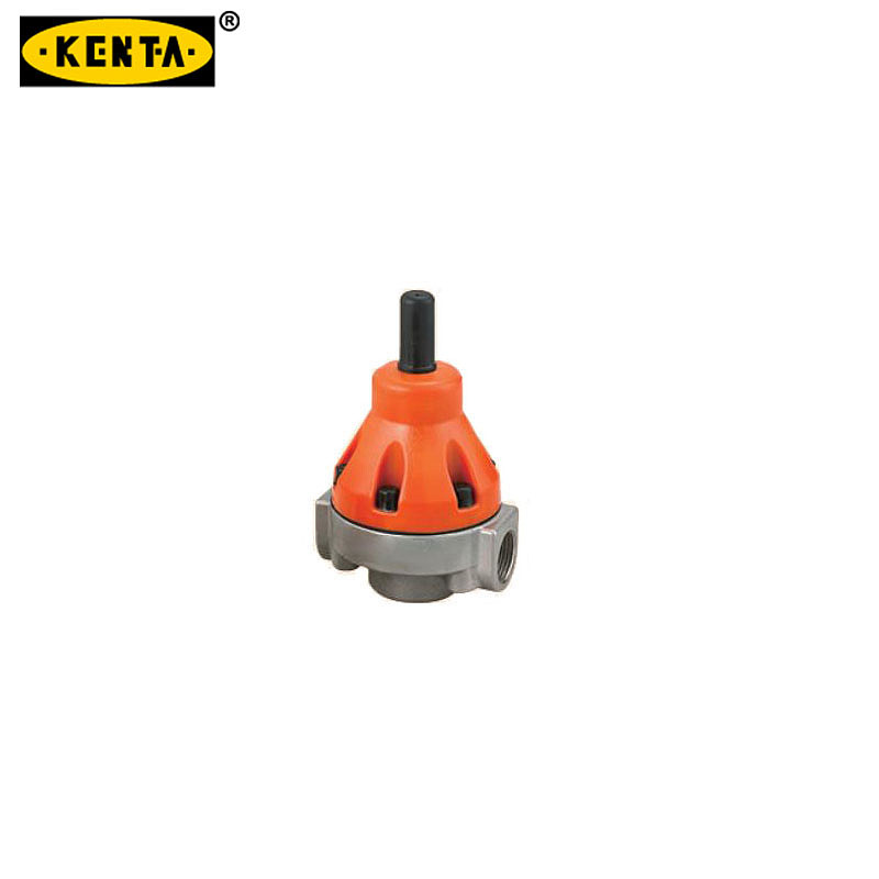 KENTA 不锈钢安全阀/背压阀 DK110-200-685