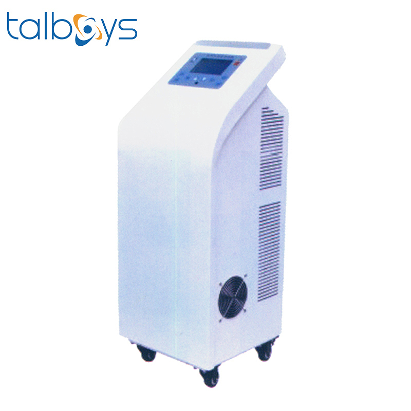 TALBOYS 床单位臭氧消毒机 TS1901383