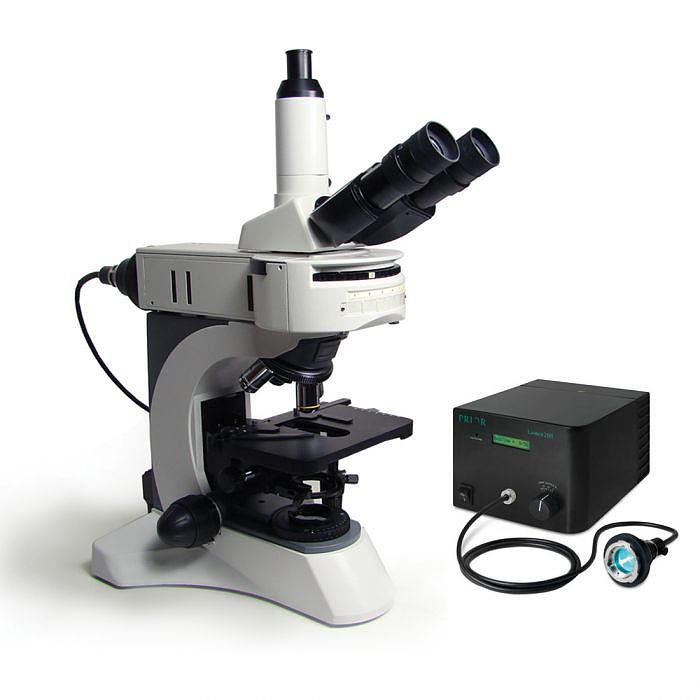 POLYSCIENCES 直立荧光显微镜 25039-1