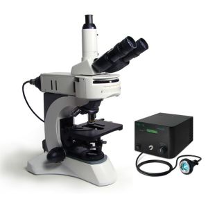 POLYSCIENCES 直立荧光显微镜