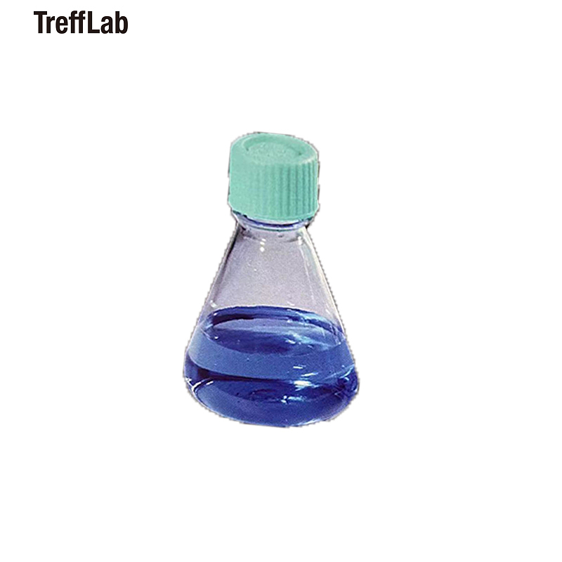 TREFFLAB 锥形瓶 96101313