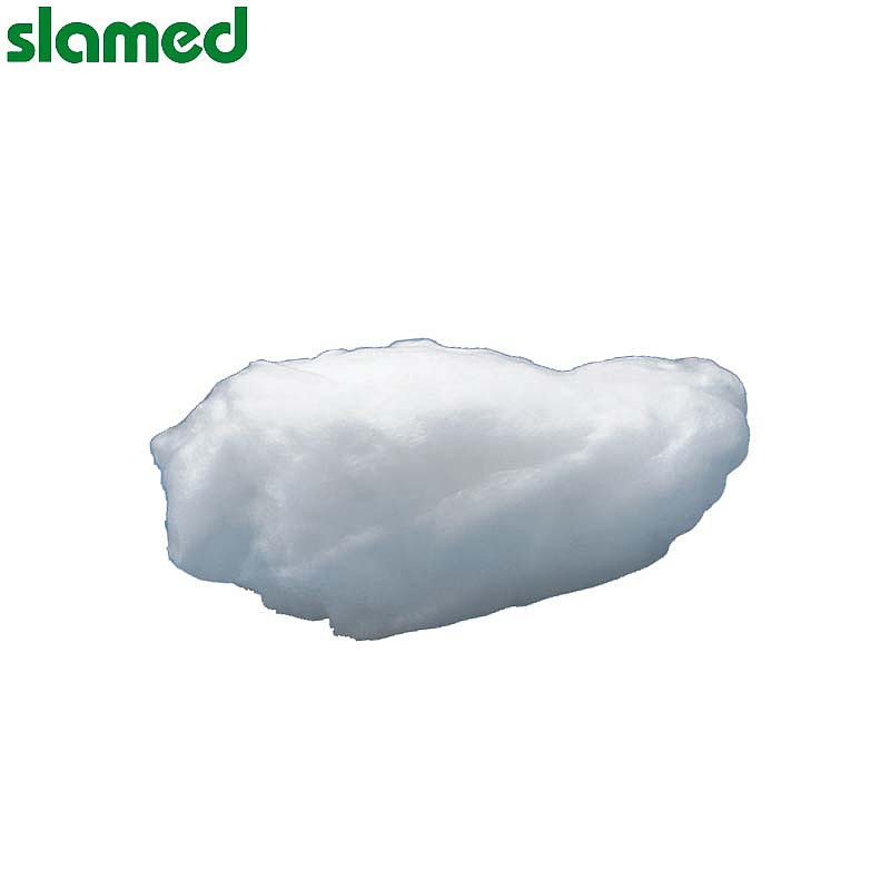 SLAMED 石英棉A级 2~6μm-10g 耐热1000度 SD7-113-747