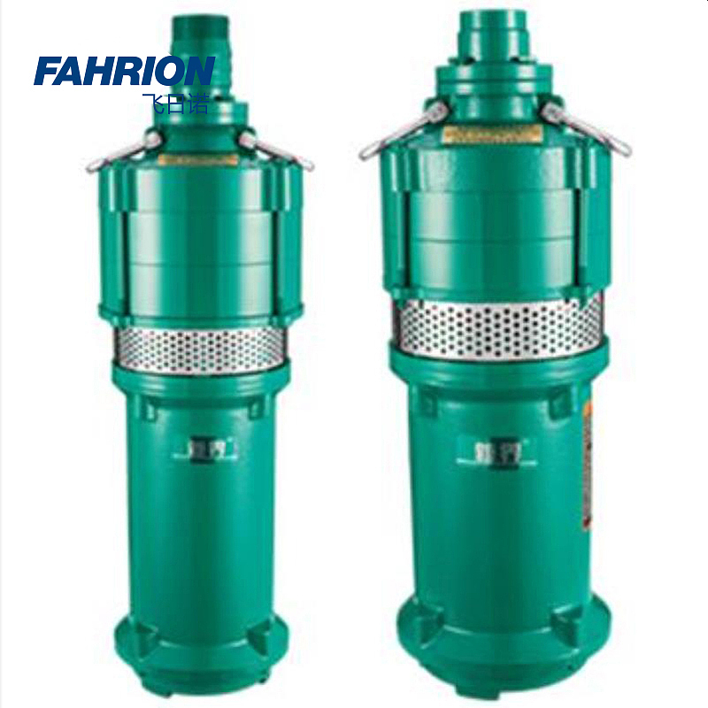 FAHRION Q(D)型干式潜水电泵 GD99-900-3168