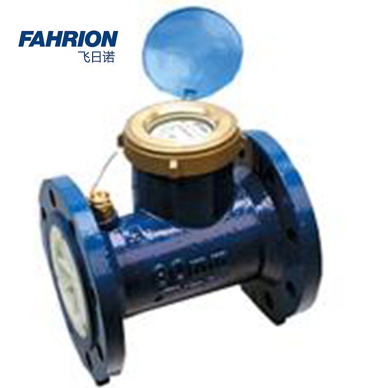 FAHRION 铁壳水平螺翼式全液封冷水表 GD99-900-2848