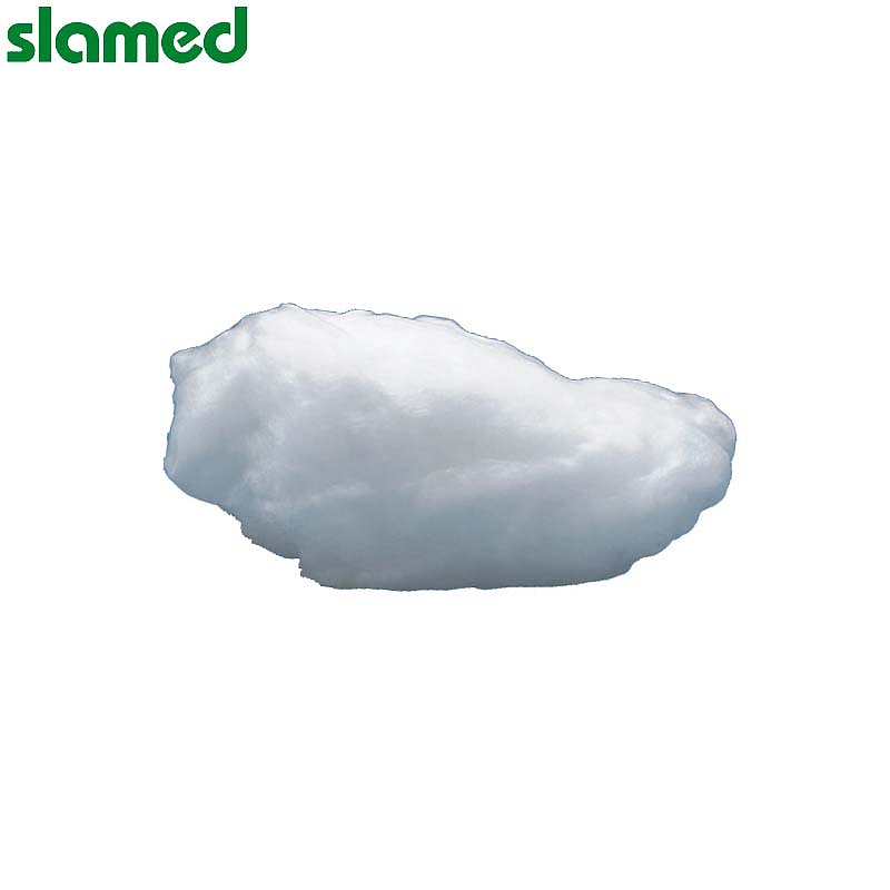 SLAMED 石英棉A级 4~9μm-10g 耐热1000度 SD7-113-748