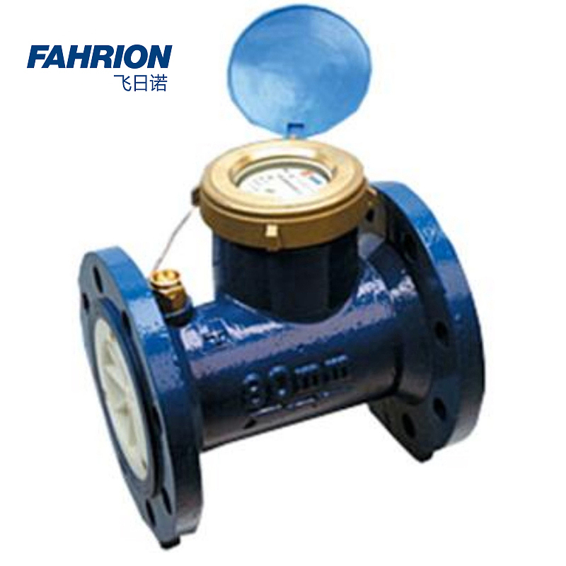 FAHRION 铁壳水平螺翼式全液封冷水表 GD99-900-3079