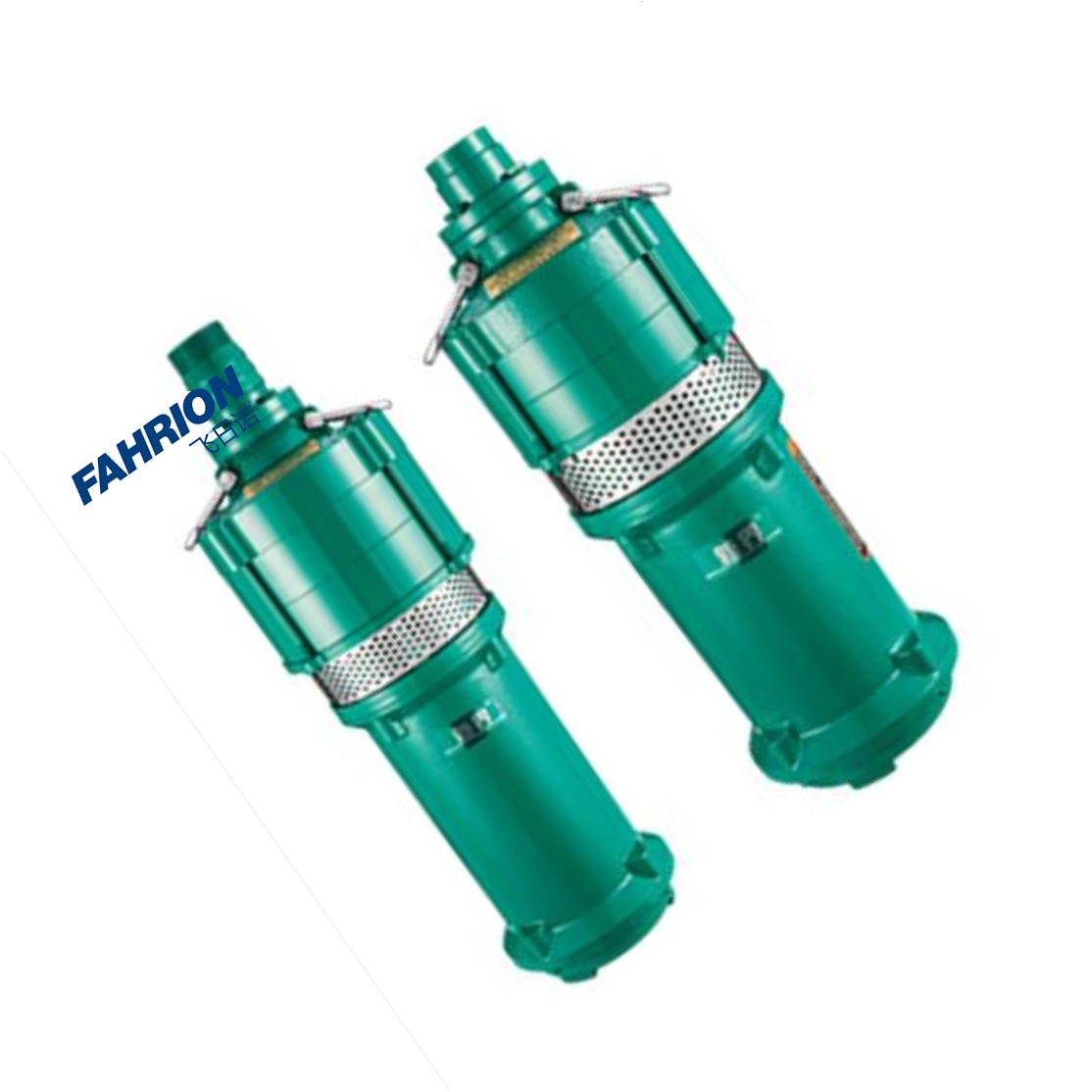 FAHRION Q(D)型干式潜水电泵 GD99-900-3168