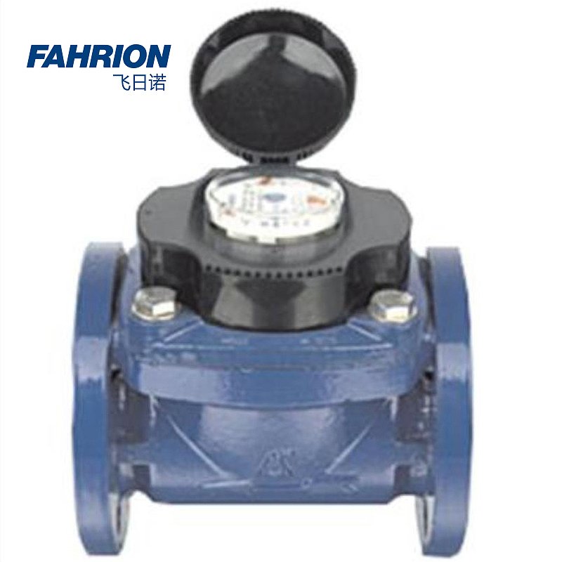 FAHRION 铁壳可拆卸螺翼干式冷水表 GD99-900-3218