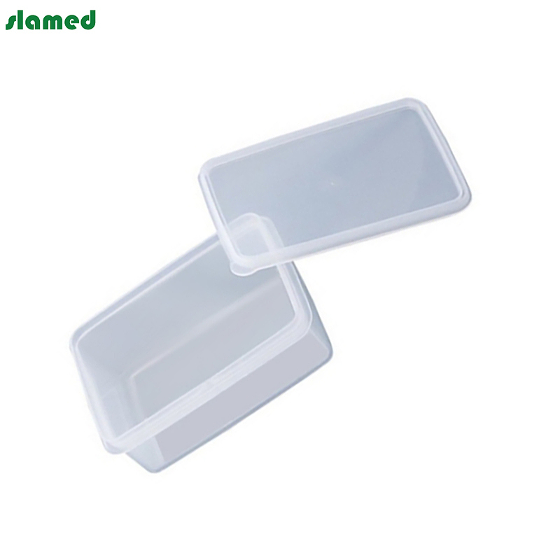 SLAMED pp制塑料盒子 430ml 167×117×36mm SD7-111-167