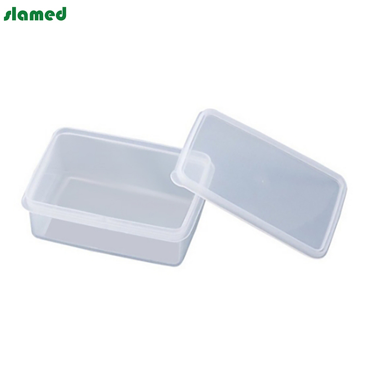 SLAMED pp制塑料盒子 430ml 167×117×36mm SD7-111-167