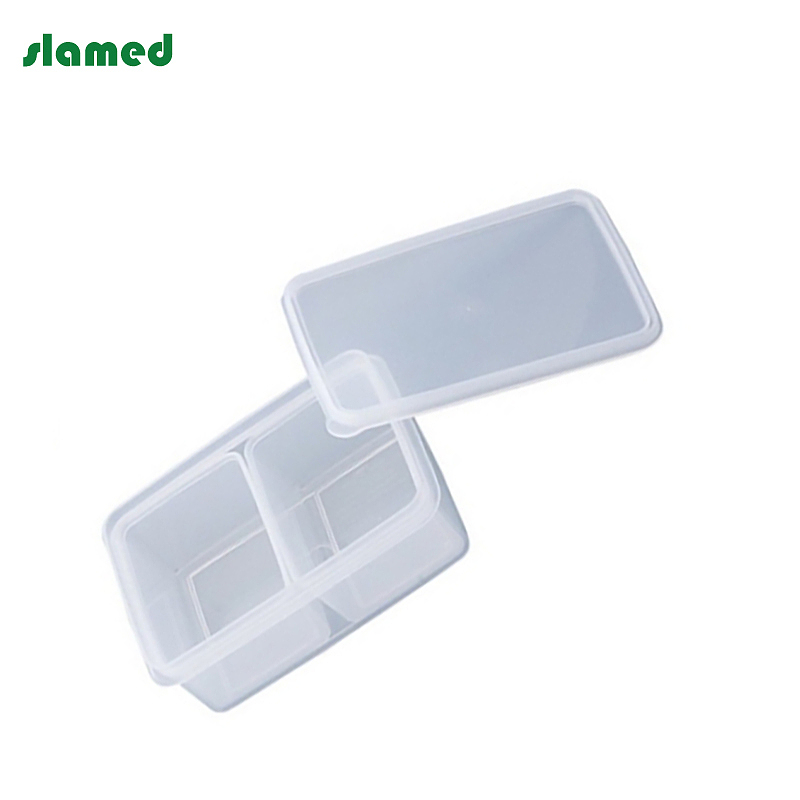 SLAMED pp制塑料盒子 780ml 167×117×58mm SD7-111-184