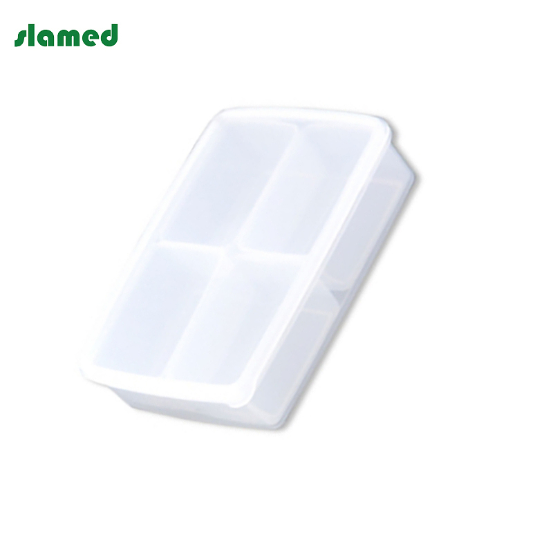 SLAMED pp制塑料盒子 1550ml 232×167×58mm SD7-111-185